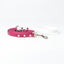 Biothane Long Line Lite - Standard Biothane Training Leash