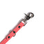Blush - Essential Biothane Dog Leash