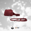 Camine Dog Gear x Pupworldwear | Daily Trainer Bag and Pupway™ 3-in-1 Handsfree Leash Set in Burgundy