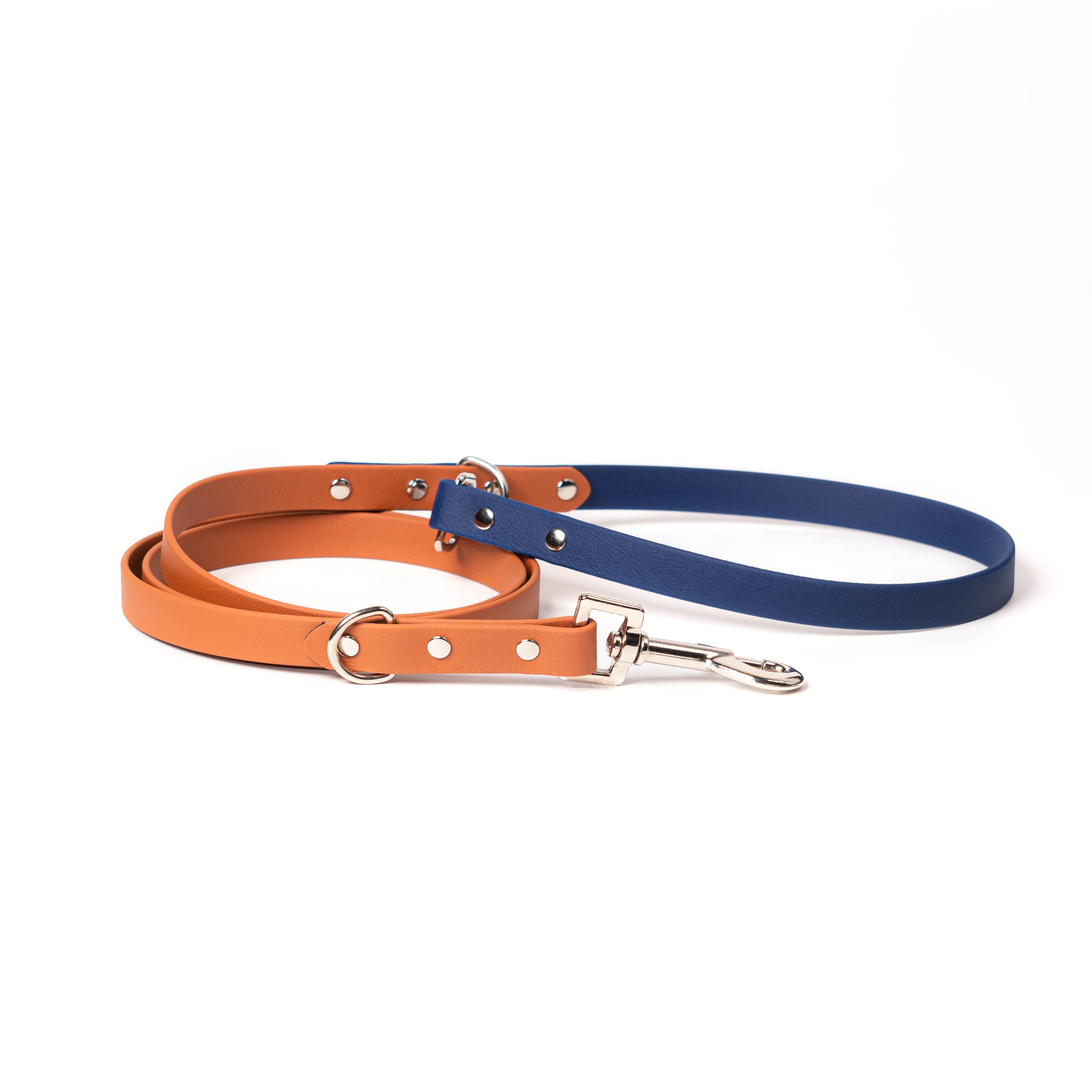 The Classic - Standard Biothane Leash