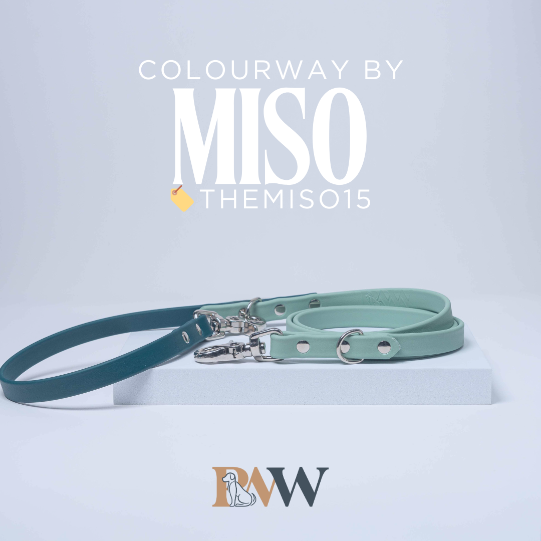 Coloured by Miso - Sage x Forest Green