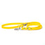 Dandelion - Classic Biothane Dog Leash