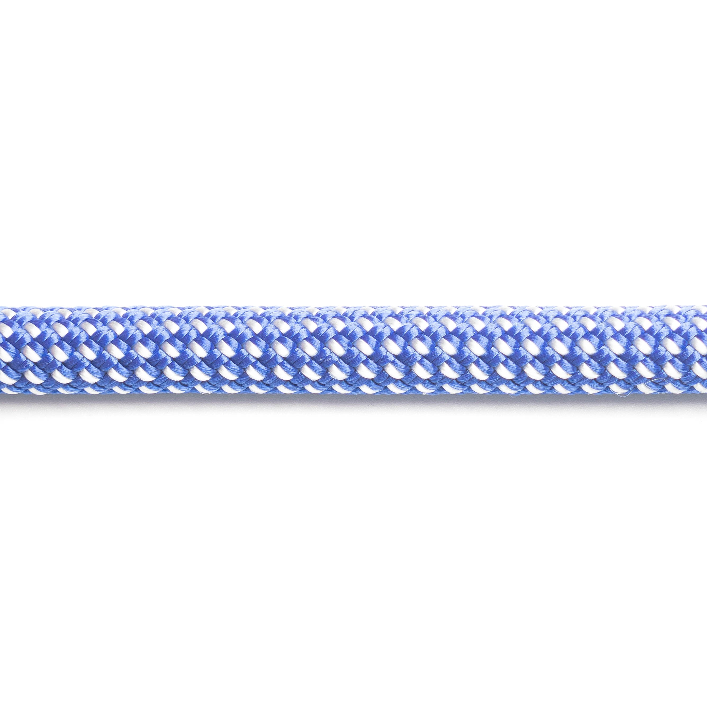 Dewberry - 9mm Rope Leash