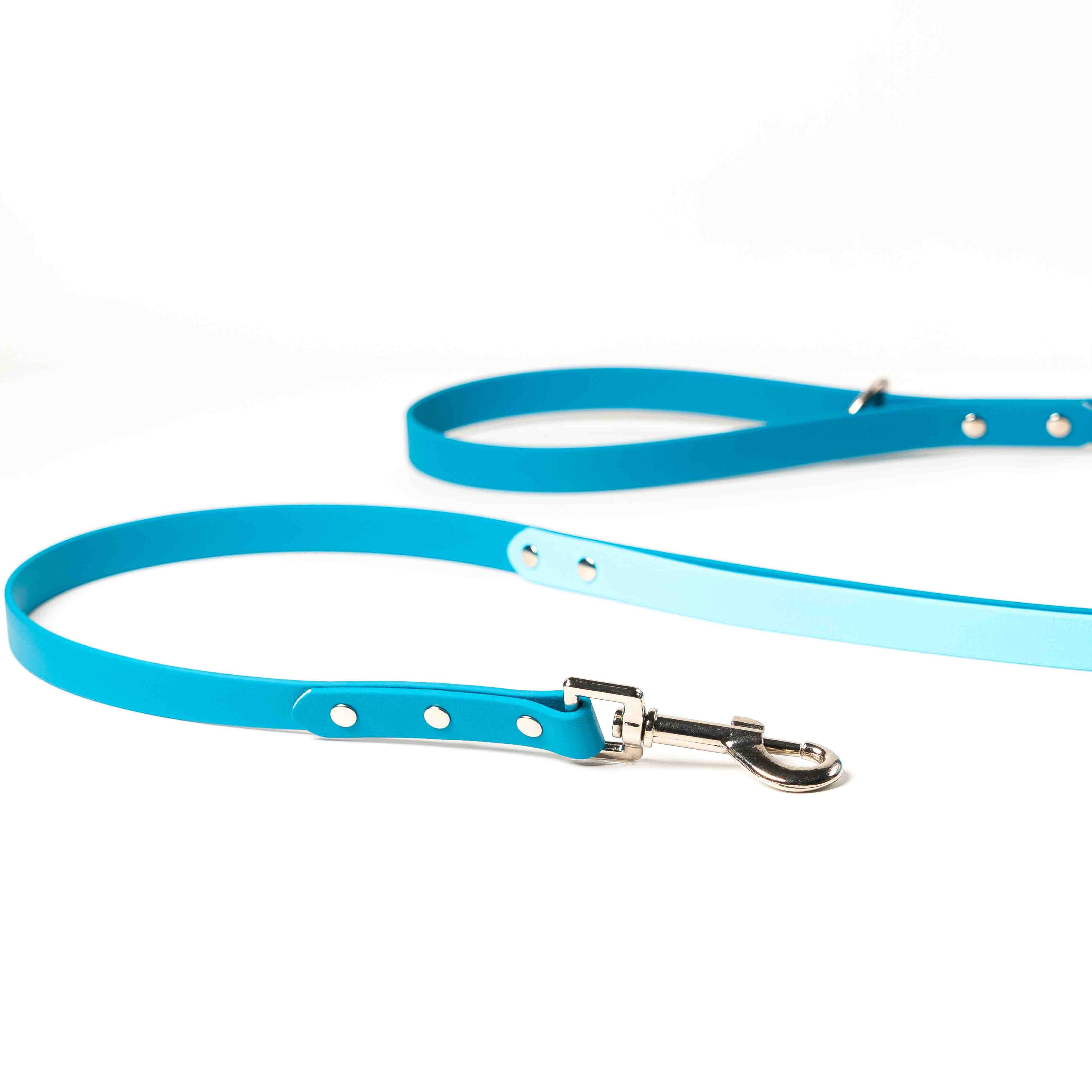 The Essential - Standard Biothane Traffic Handle Leash