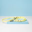 Primrose Yellow - Limited Edition Classic Biothane Dog Leash