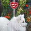Fury the Store | 'I'm Friendly' Attachable Leash Patch