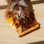 Ollie B. Good | Clementine Wavies Slow Feeder Bowl