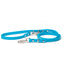 Lagoon - Classic Biothane Dog Leash