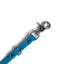 Lagoon - Essential Biothane Dog Leash