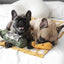 Lambwolf Collective | Fromage Squeaky + Snuffle Dog Toy