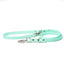Mint - Classic Biothane Dog Leash