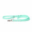 Mint - Essential Biothane Dog Leash
