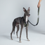 Native Zero | LIBERTY 1 Urban Green Multipurpose Handsfree Leash