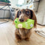 Ollie B. Good | Bon Apple Tea Squeaker Toy