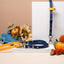 Pumpkin Spice Hands-free Set - Fall Collection
