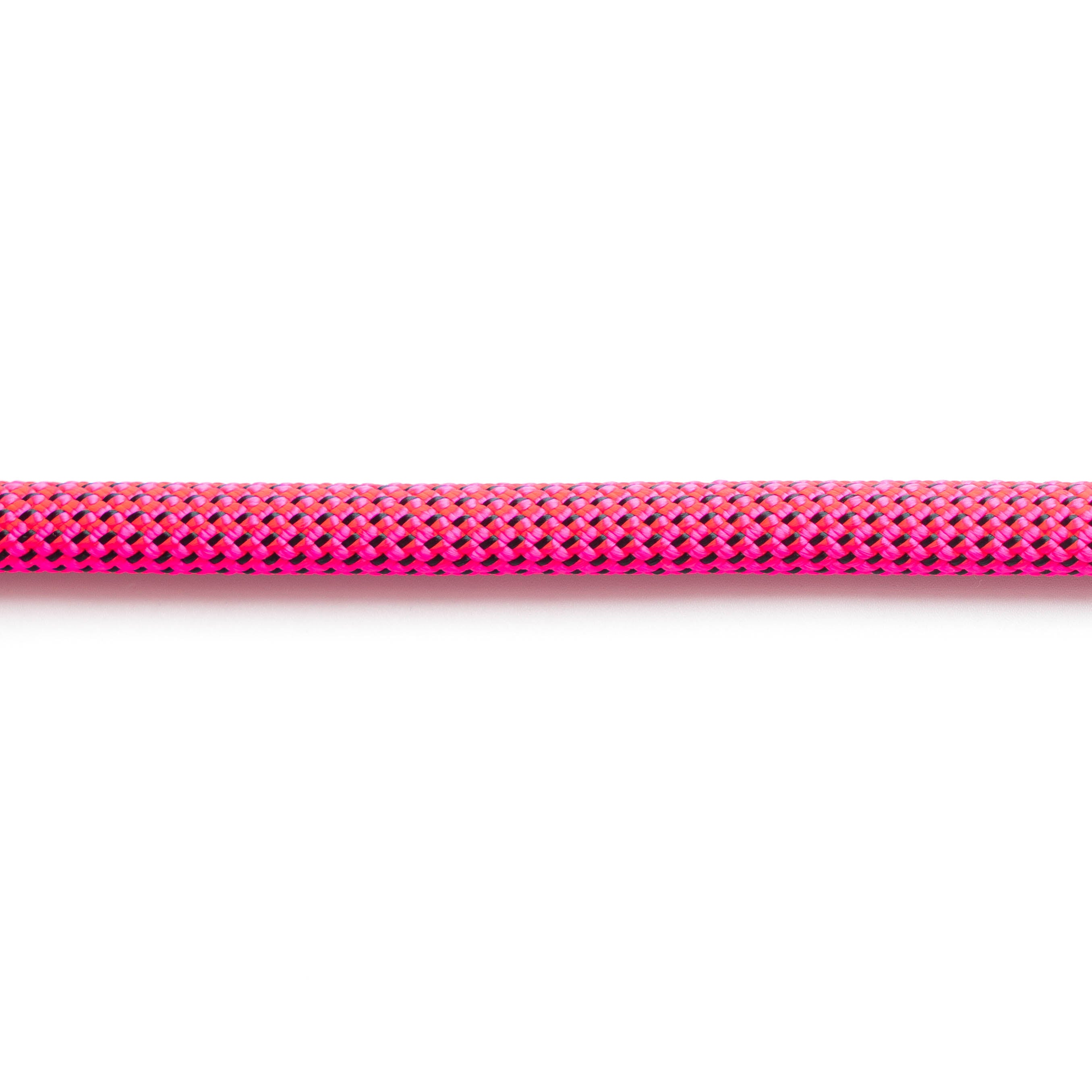 Raspberry Punch - 8mm Rope Leash