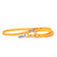 Tangerine - Classic Biothane Dog Leash