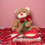 Velvet Bear Classic Biothane Leash - Be Mine Collection