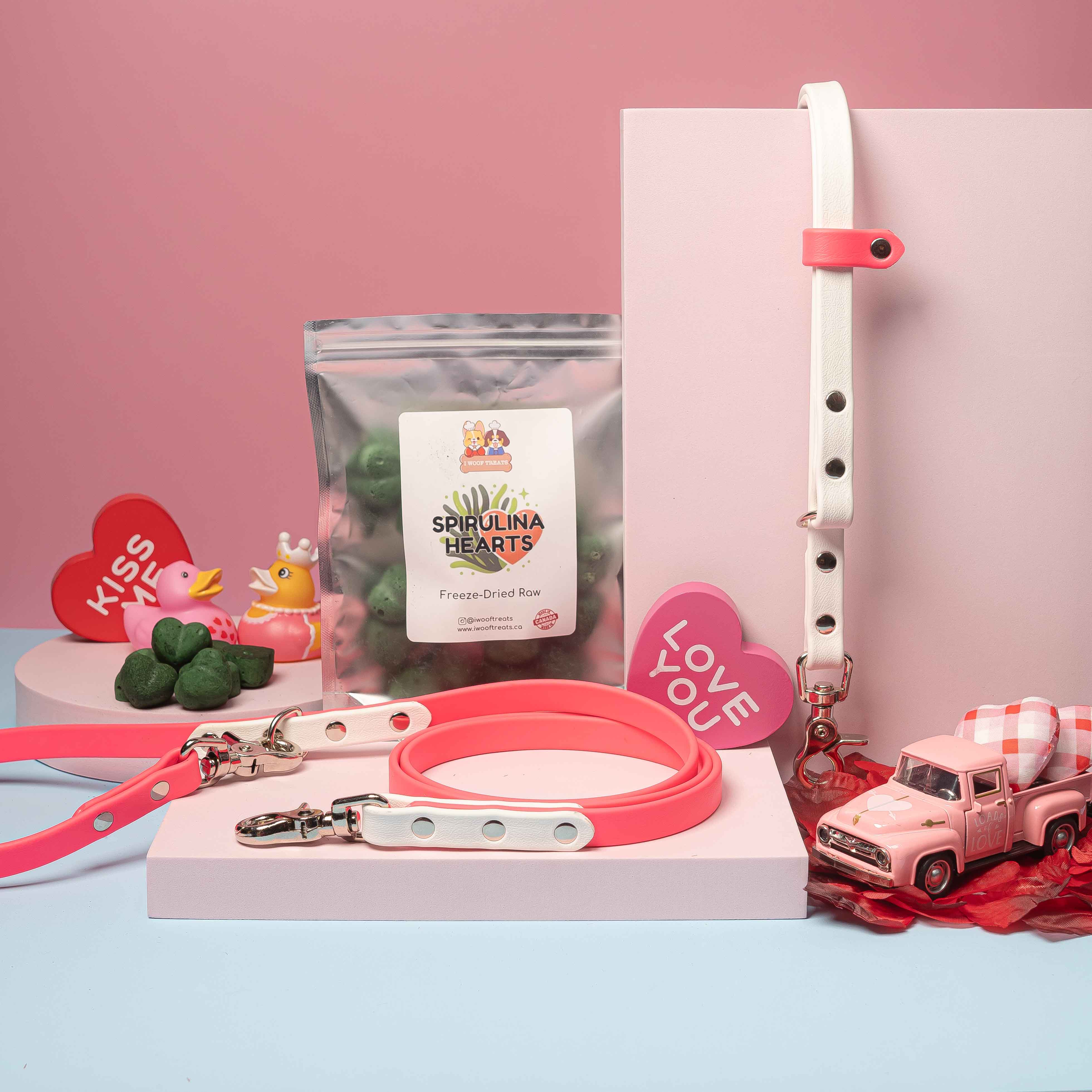 The Starter Biothane Hands-free Set Bundle - PWW x I Woof Treats