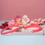 Frosted Rose Classic Biothane Leash - Be Mine Collection