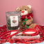 Velvet Bear Classic Biothane Leash Bundle with I Woof Treats - Be Mine Collection