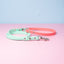 Watermelon Classic - Summer Collection