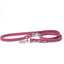 Wine - Classic Biothane Dog Leash
