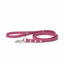 Wine - Essential Biothane Dog Leash