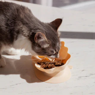 Ollie B. Good | Oatmeal Whiskies Cat Bowl