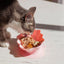 Ollie B. Good | Strawberry Whiskies Cat Bowl