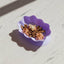 Ollie B. Good | Viola Whiskies Cat Bowl